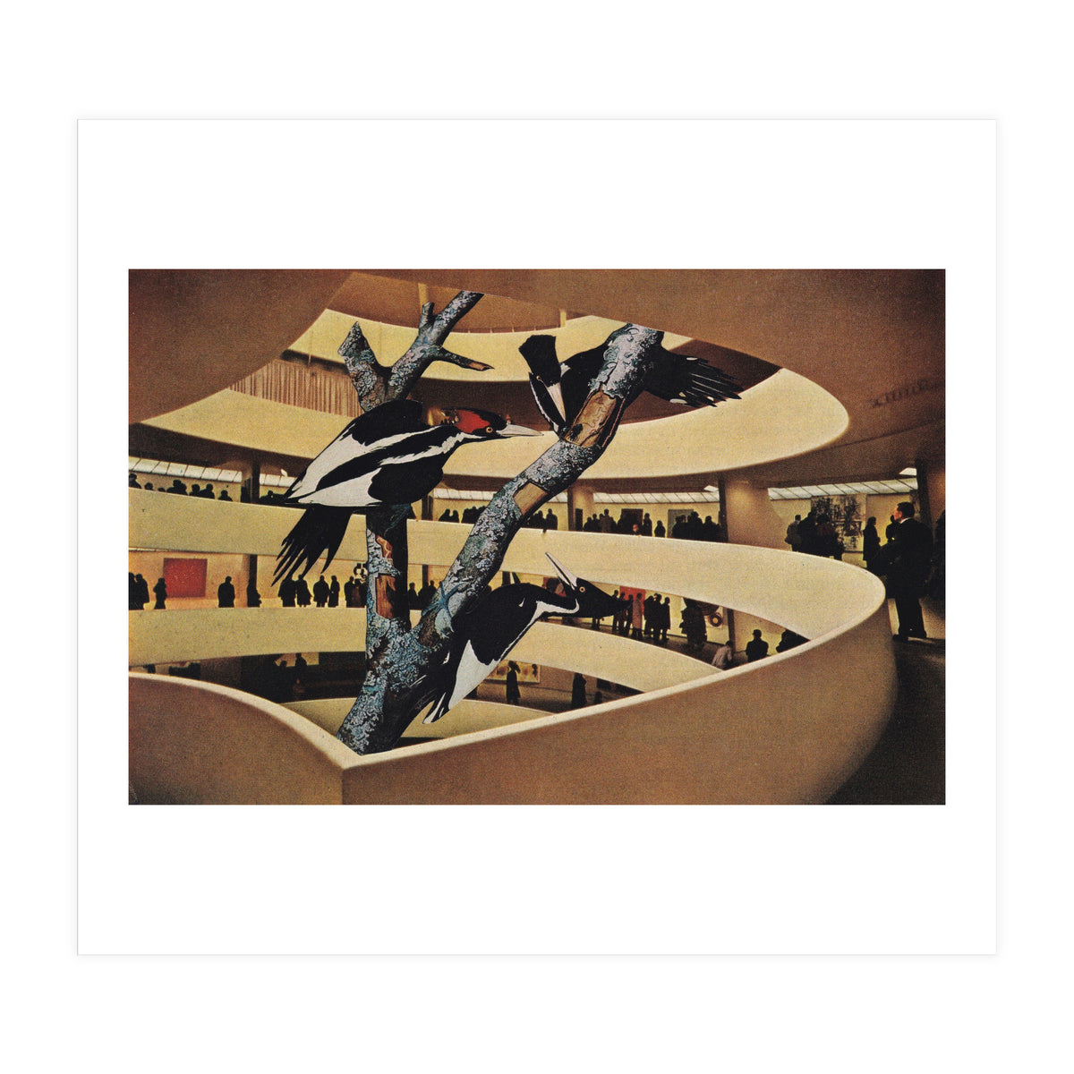 Art Museum (Print Only)