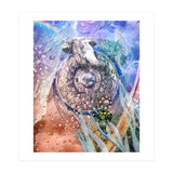 Skyward Spirit (Print Only) thumbnail