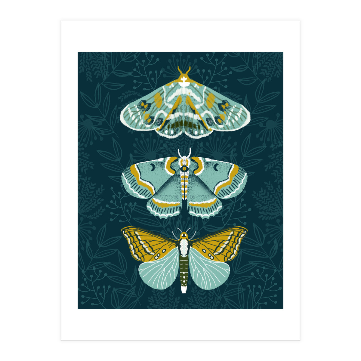 Lepidoptery8 (Print Only)