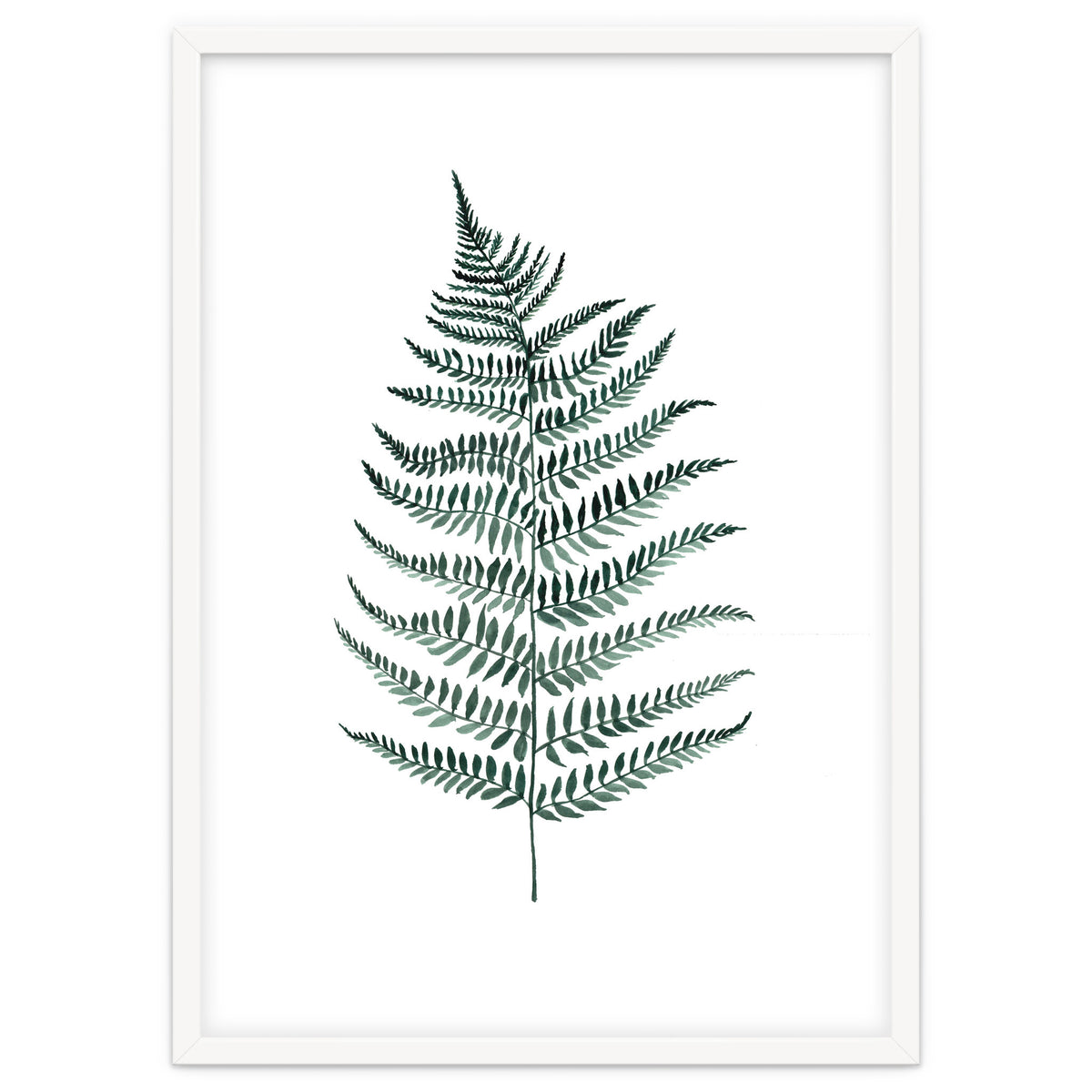 Botanical Illustration Silverfern