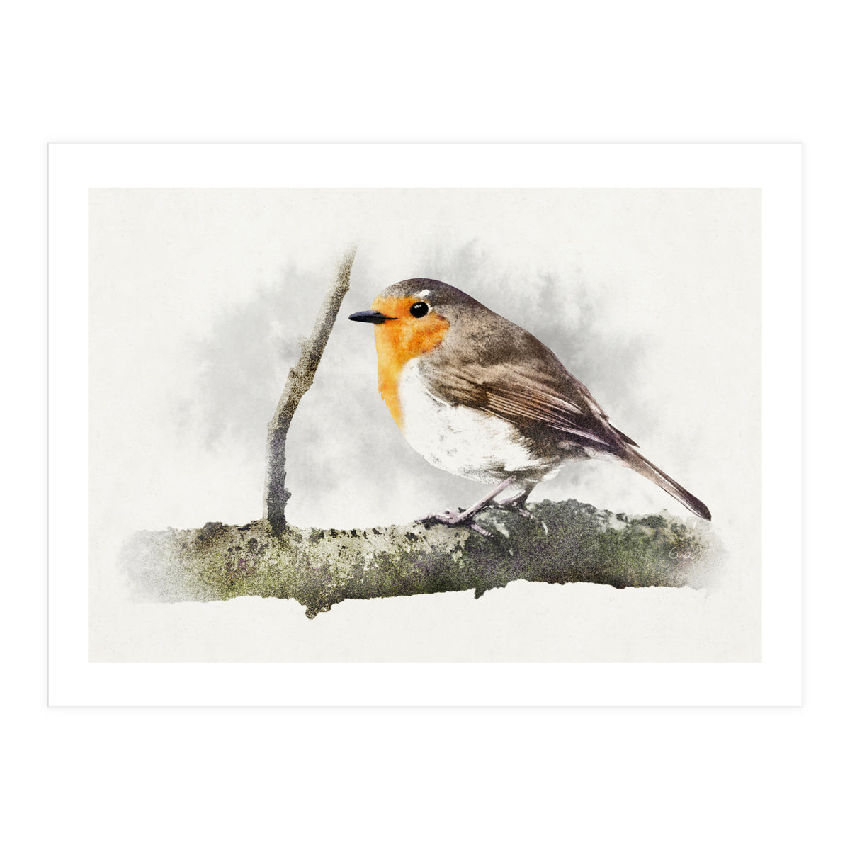 Robin (Print Only)