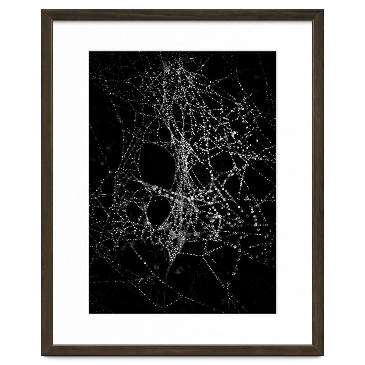 Spiderweb No 4