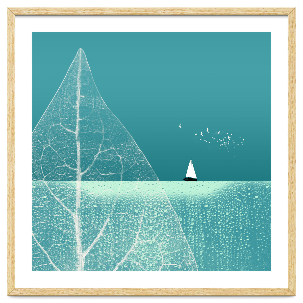 Ocean Wonderland Ii-B