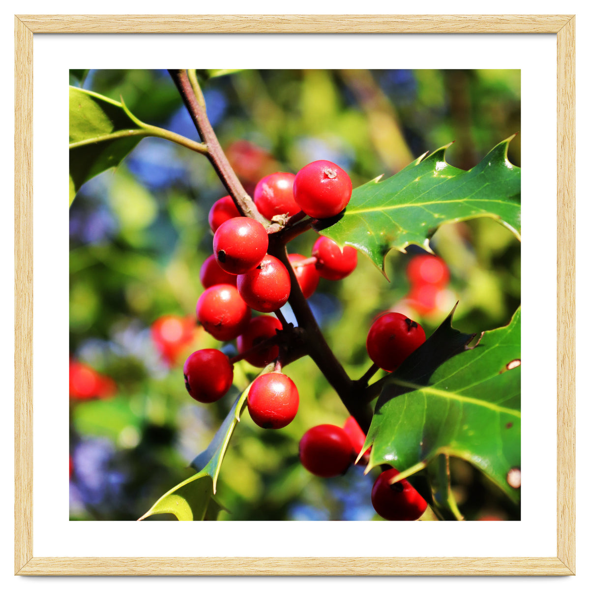 Fab454 Da 548 B 4252 8566 Cb9 Ccef07 Bda