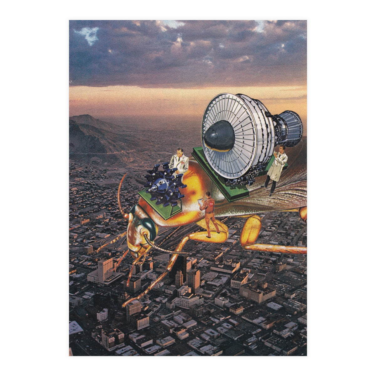 Cockroach Airways (Print Only)