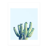 Cactus (Print Only) thumbnail