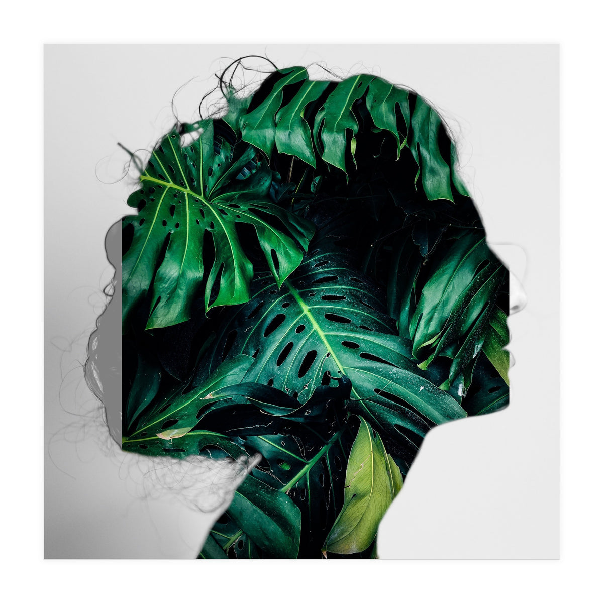 Crazy Woman 208 (Print Only)