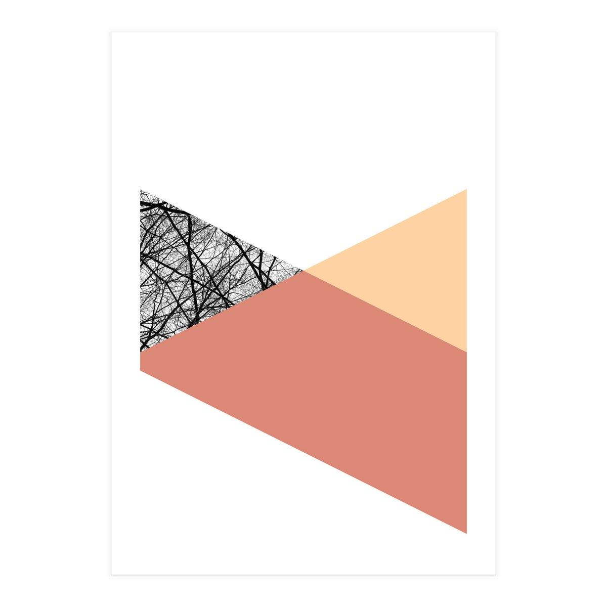 TRIWOOD II (Print Only)