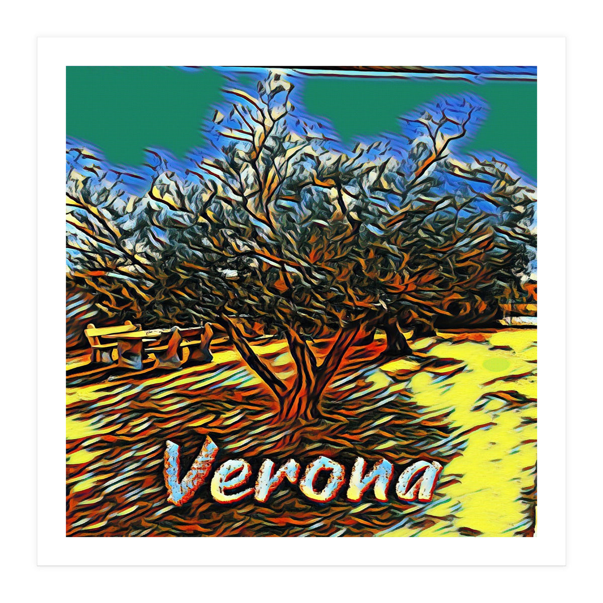 Colorful Olive tree in Verona, Italy. (Print Only)