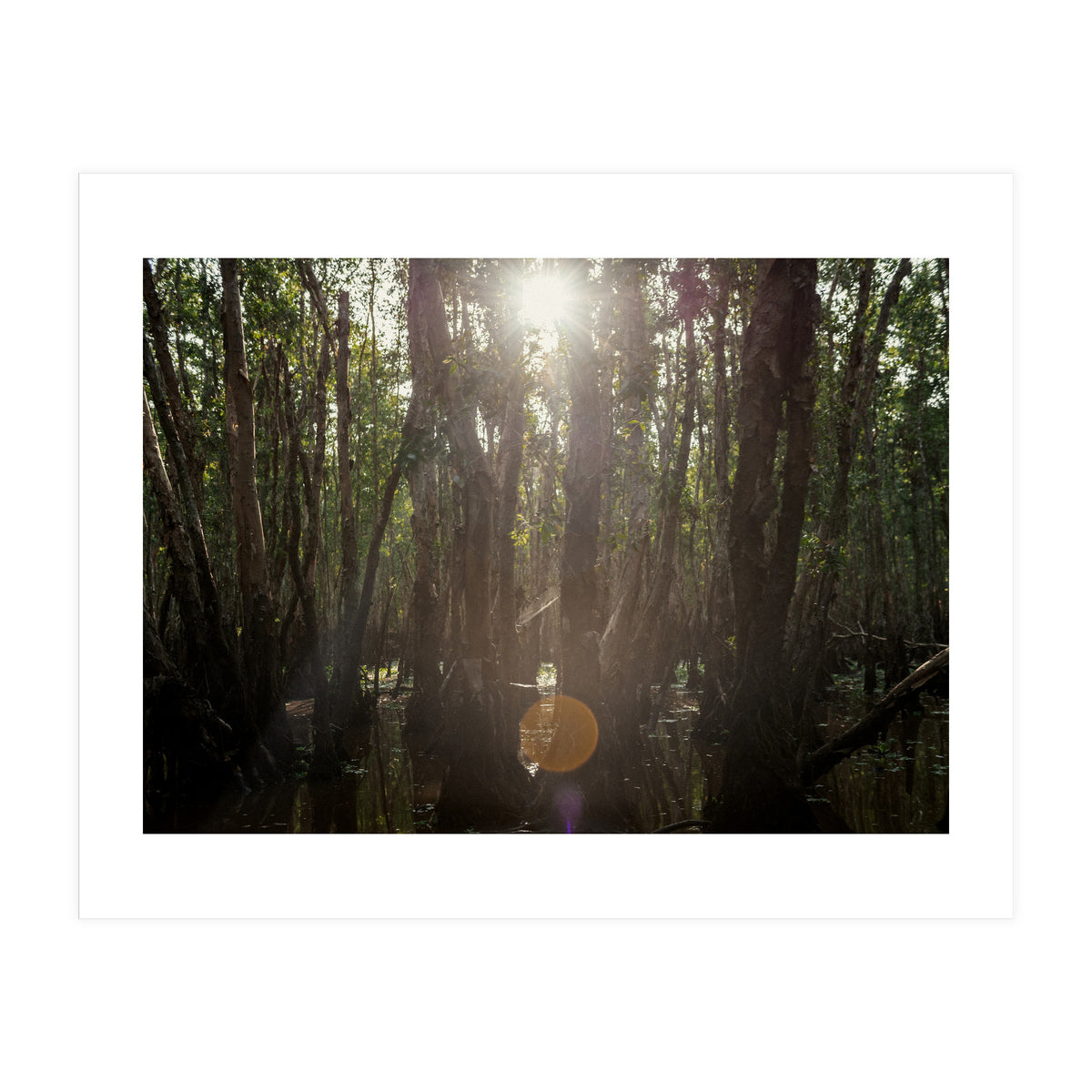 Morning in Vietnam (Print Only)