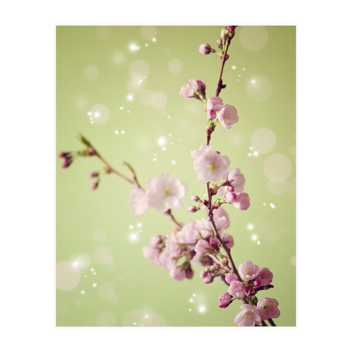 Springtime  (Print Only)