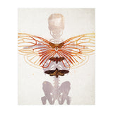 Ikarus - Like a Moth to the Flame (Print Only) thumbnail