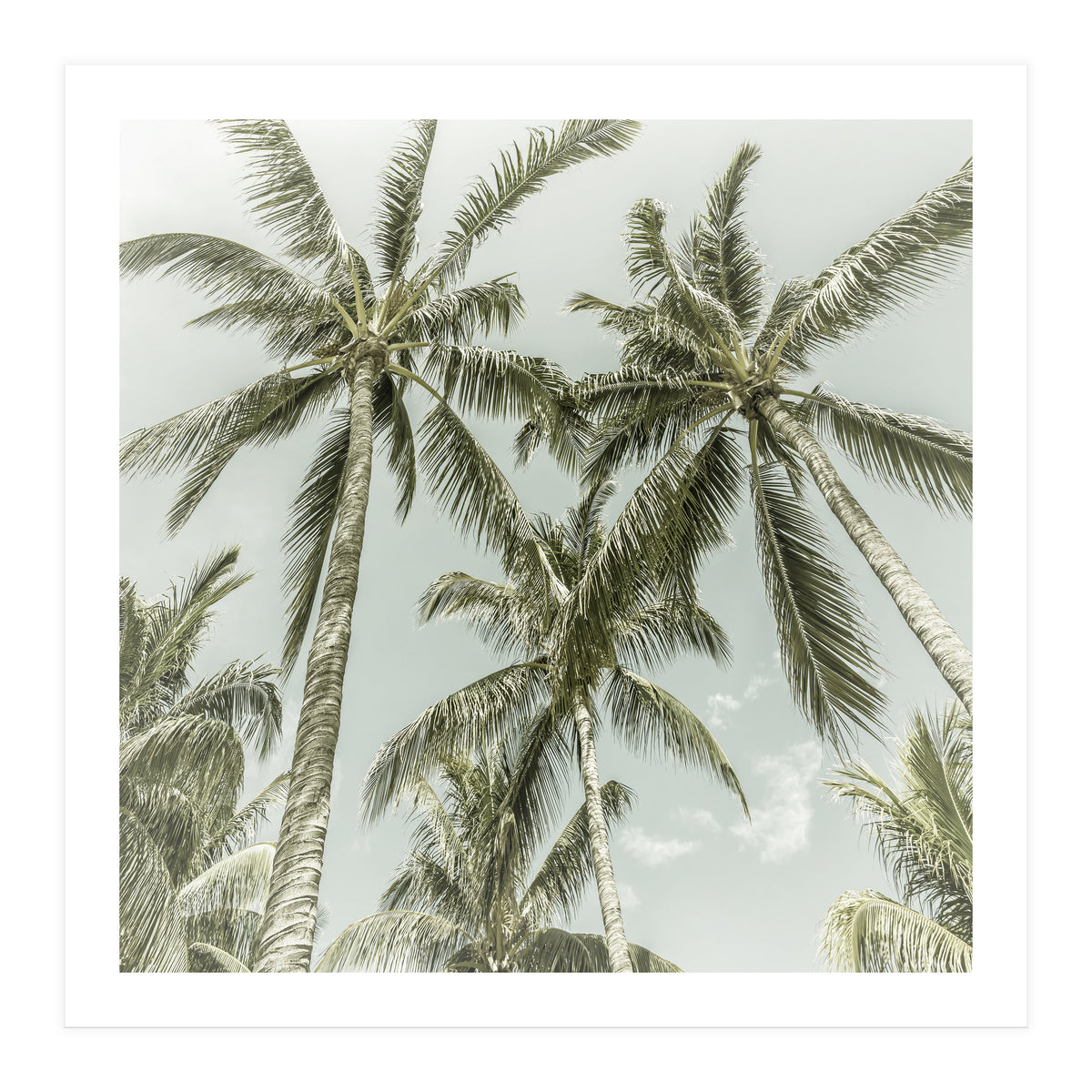 Lovely Palm Trees | Vintage (Print Only)