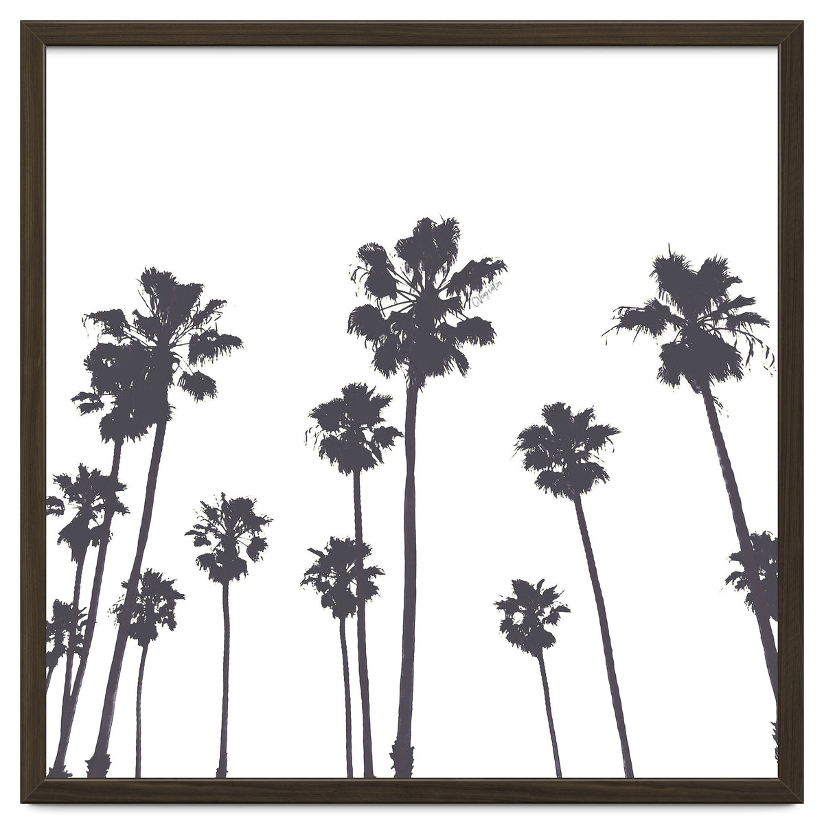 Palms & Sunset-Minimal B&W