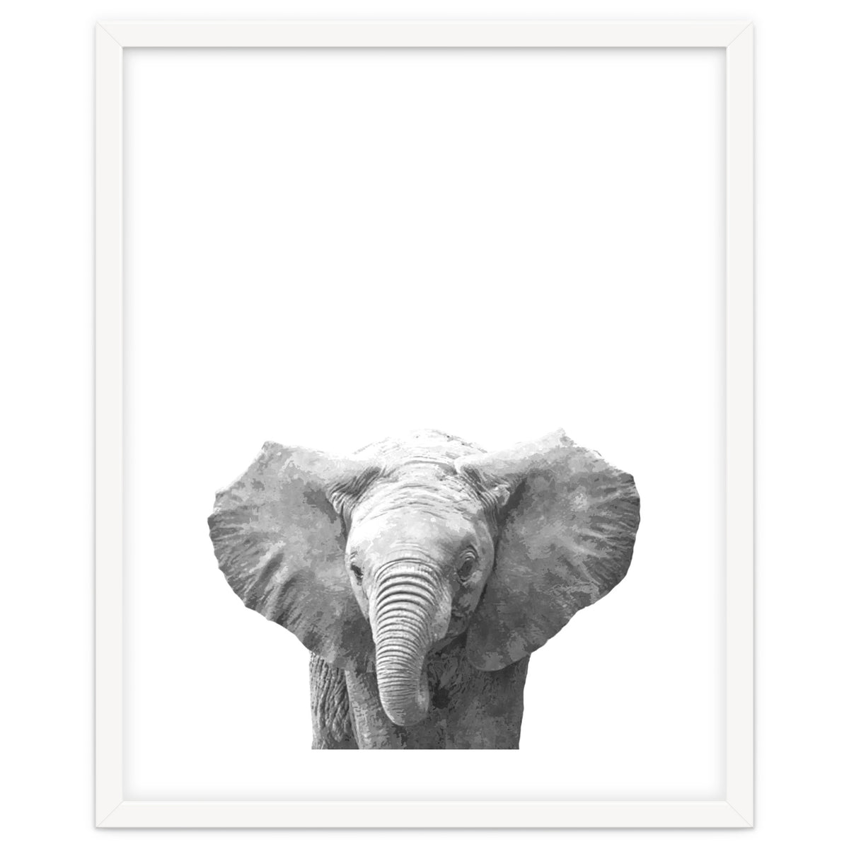 Black and White Baby Elephant