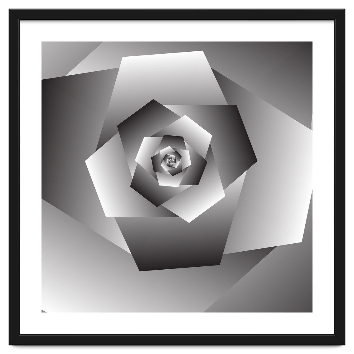 Monochrome Rose Spiral