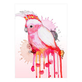 Major Mitchell's cockatoo (Print Only) thumbnail