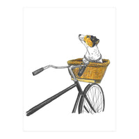 Dog In Basket (Print Only)