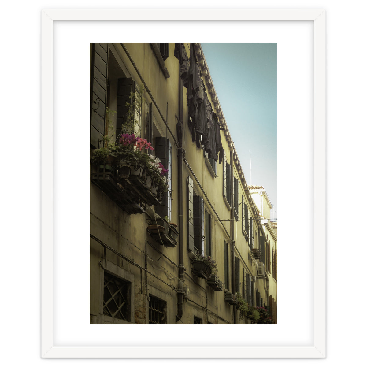 Windows From Tuscany 1