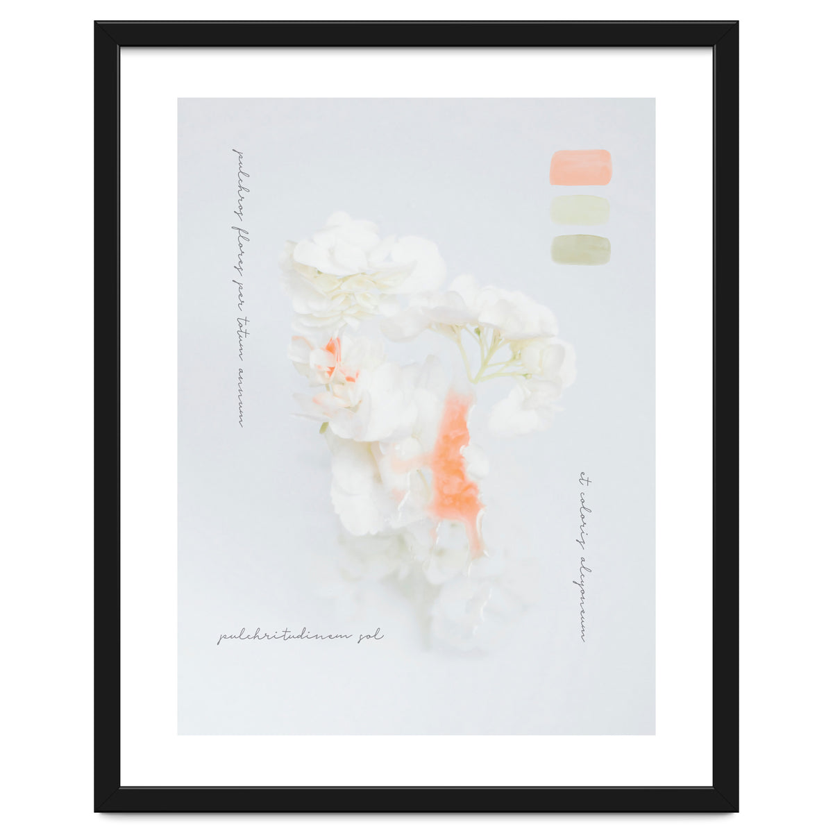 Modern Vintage Botanic