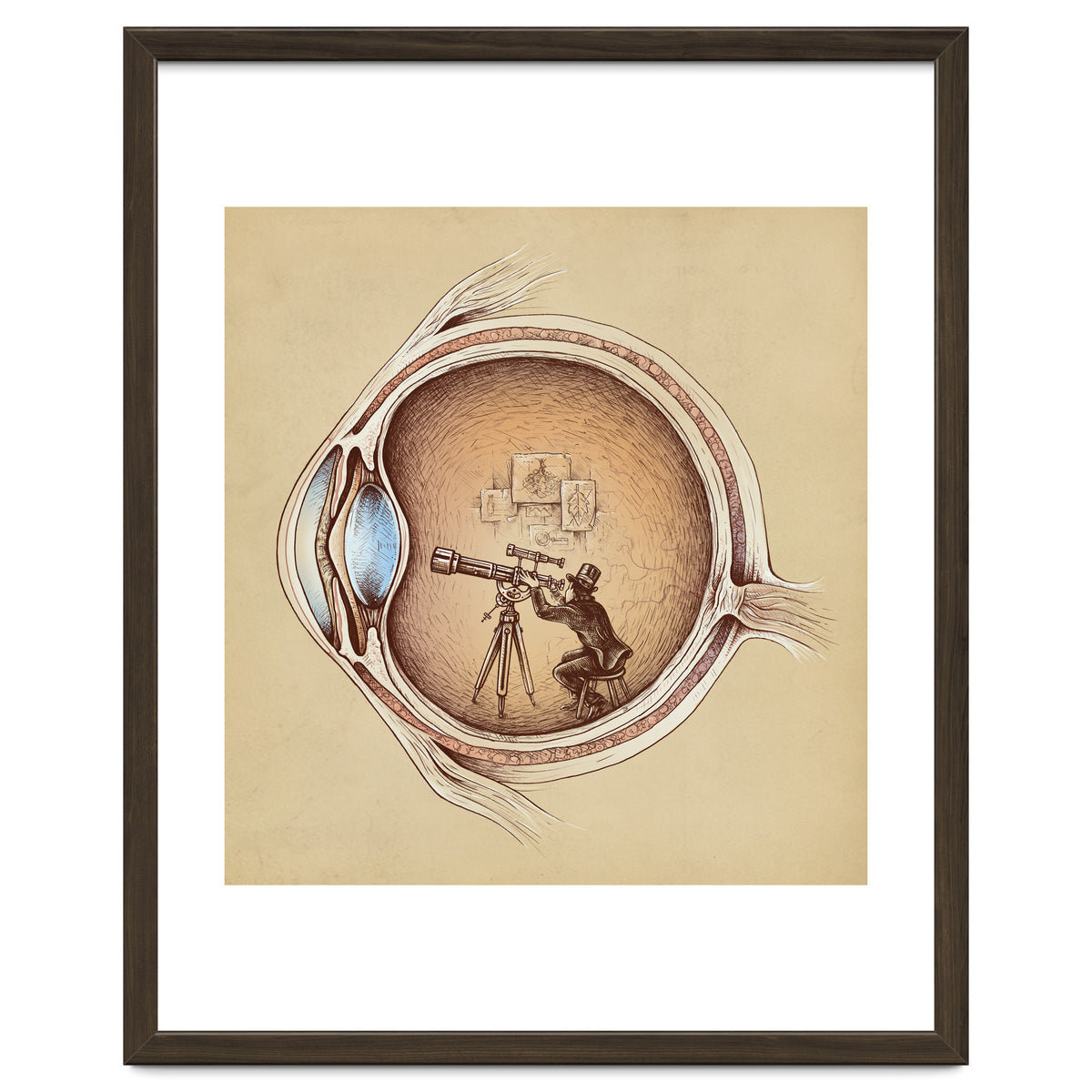 Extraordinary Observer