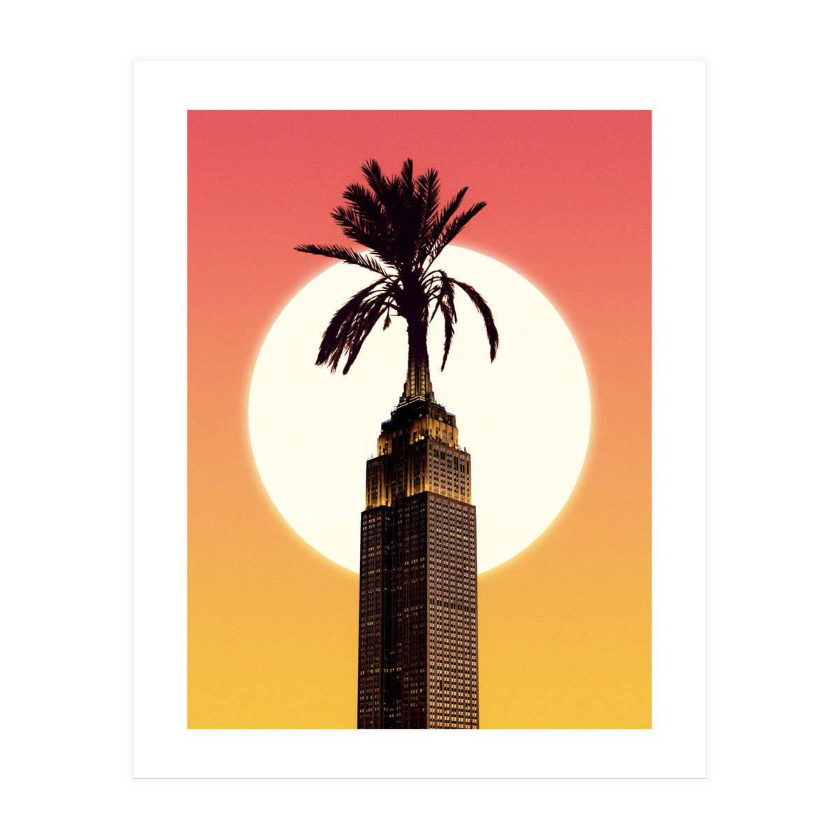 Palm City (Print Only)