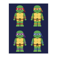 Teenage Mutant Ninja Turtles Toys (Print Only)