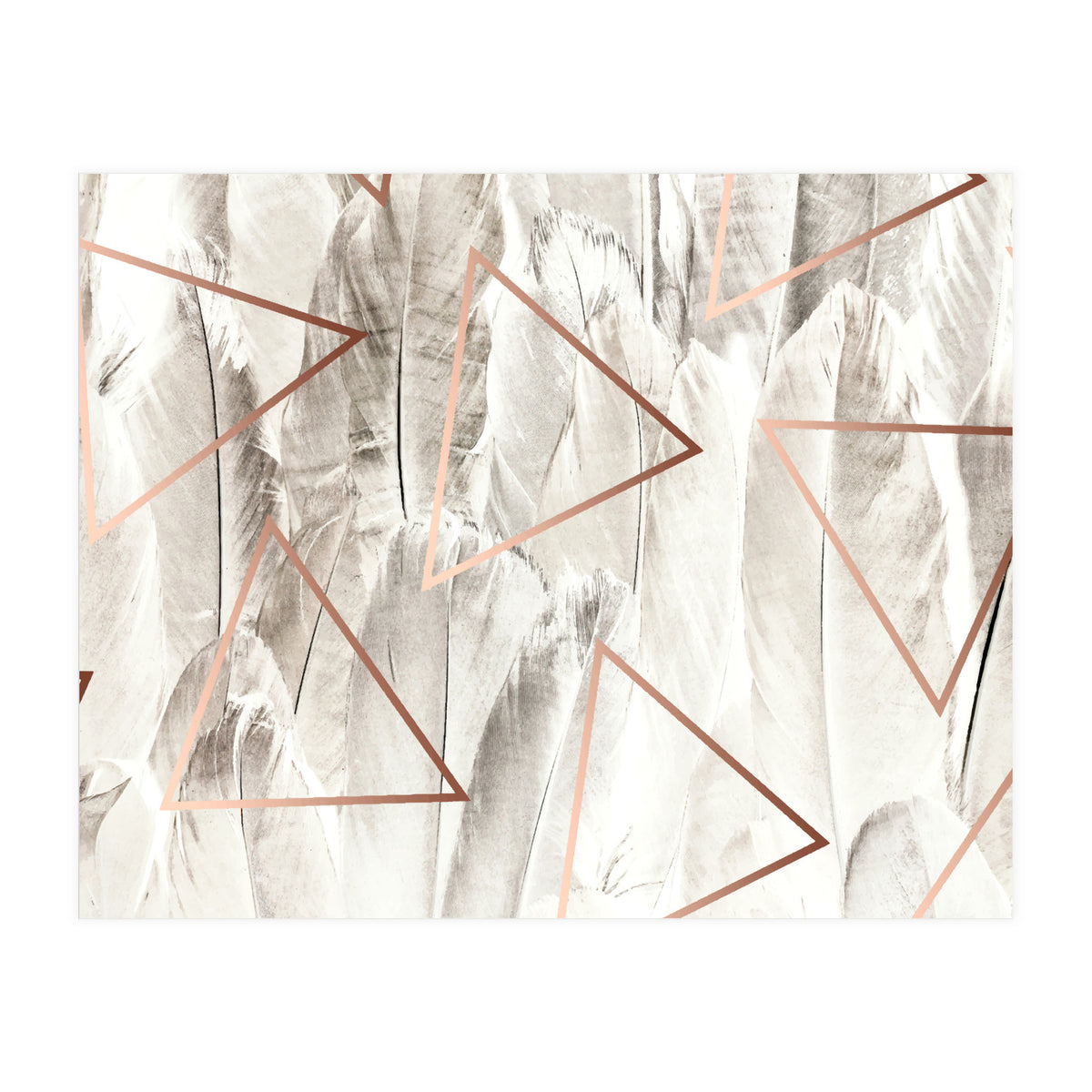 Feathers & Copper (Print Only)