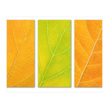 Autumn Leaves (Print Only) thumbnail