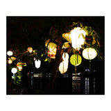 Lanterns (Print Only) thumbnail