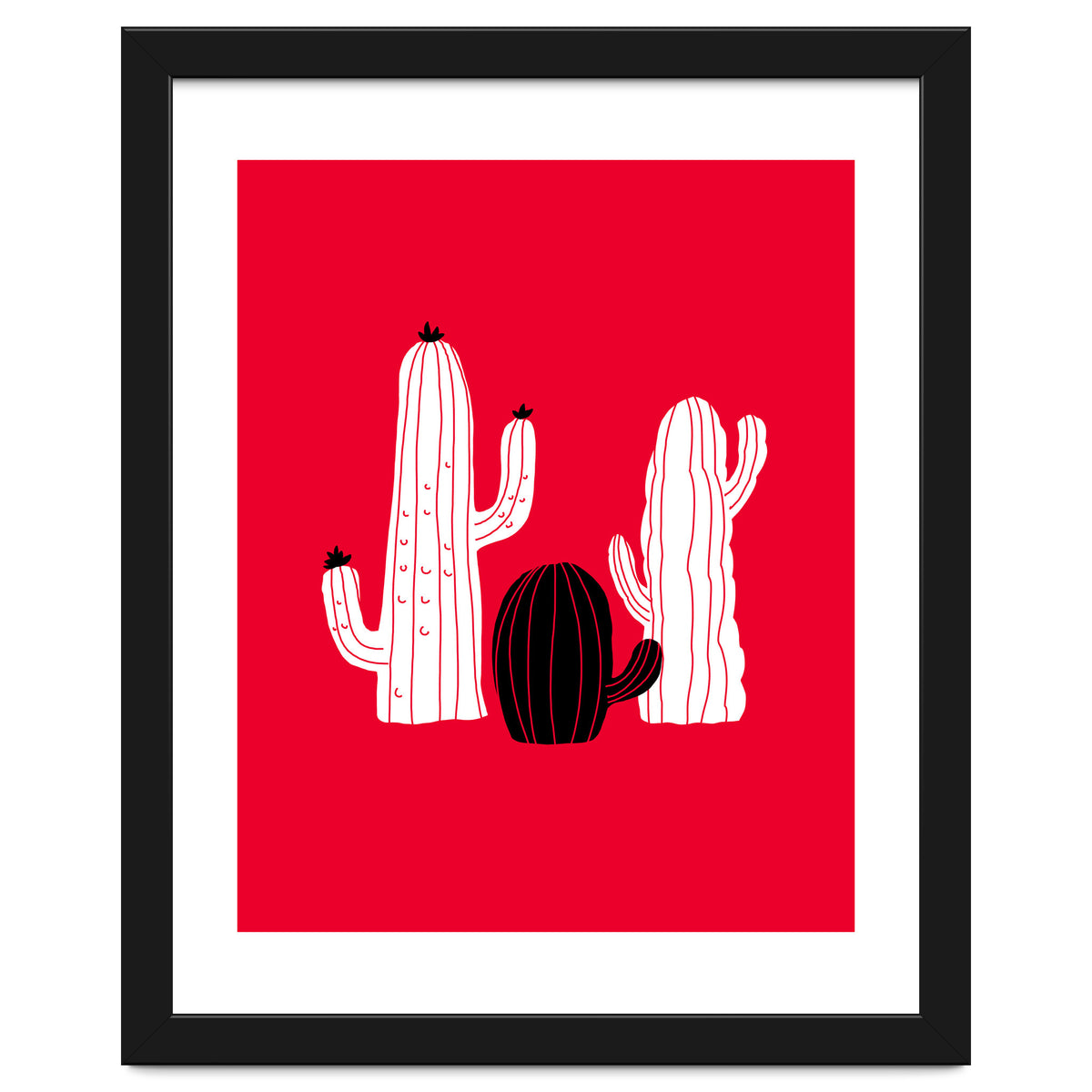 Cactus