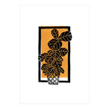 Fiddle Leaf Fig Clean + Sunlight (Print Only) thumbnail