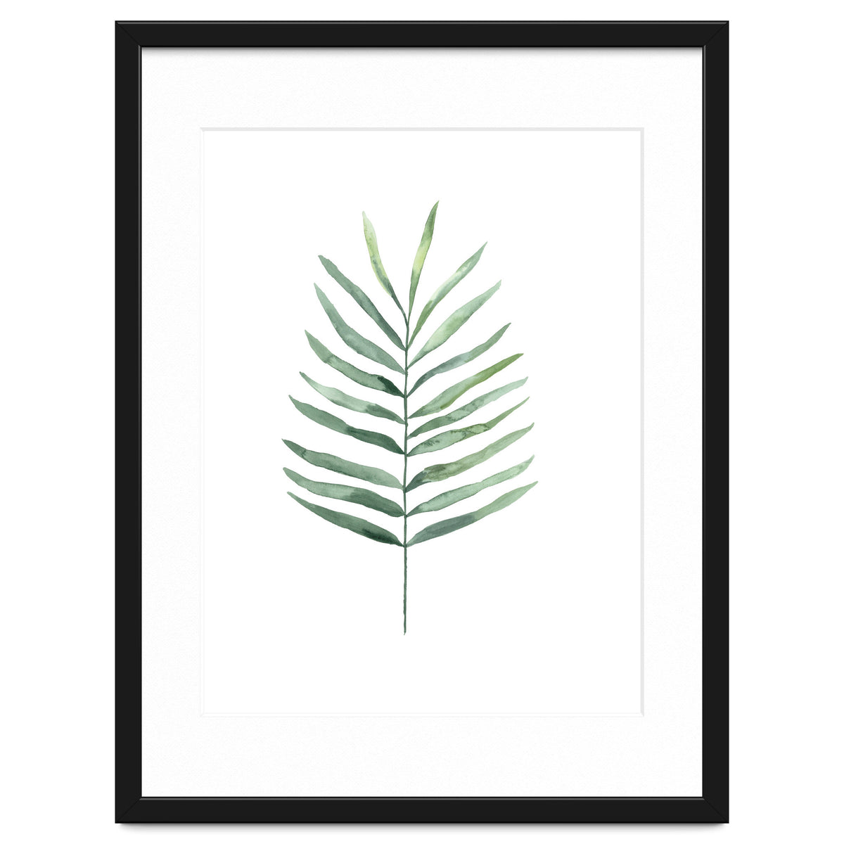 Botanical Illustration Fern