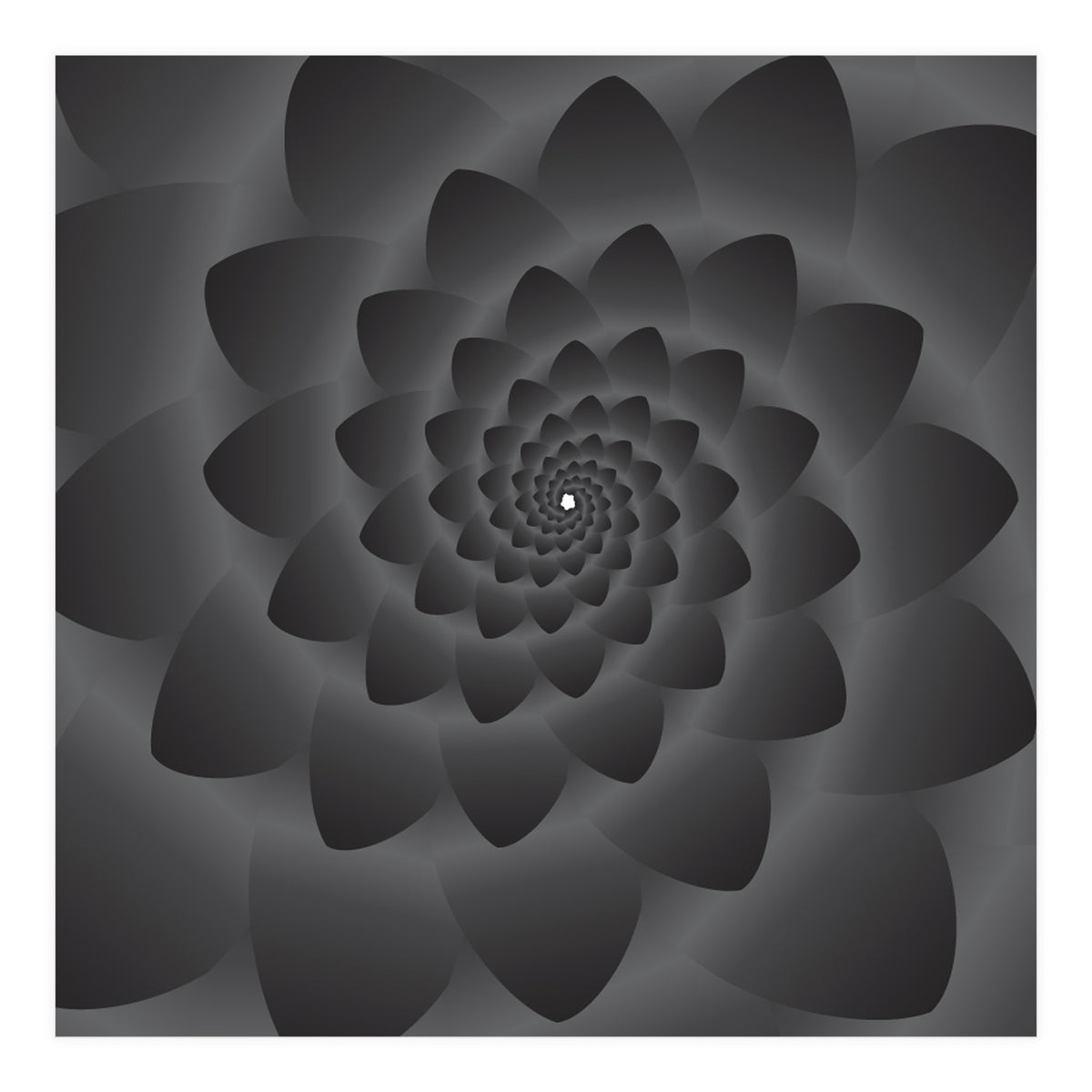 3 D Modern Black Floral (Print Only)