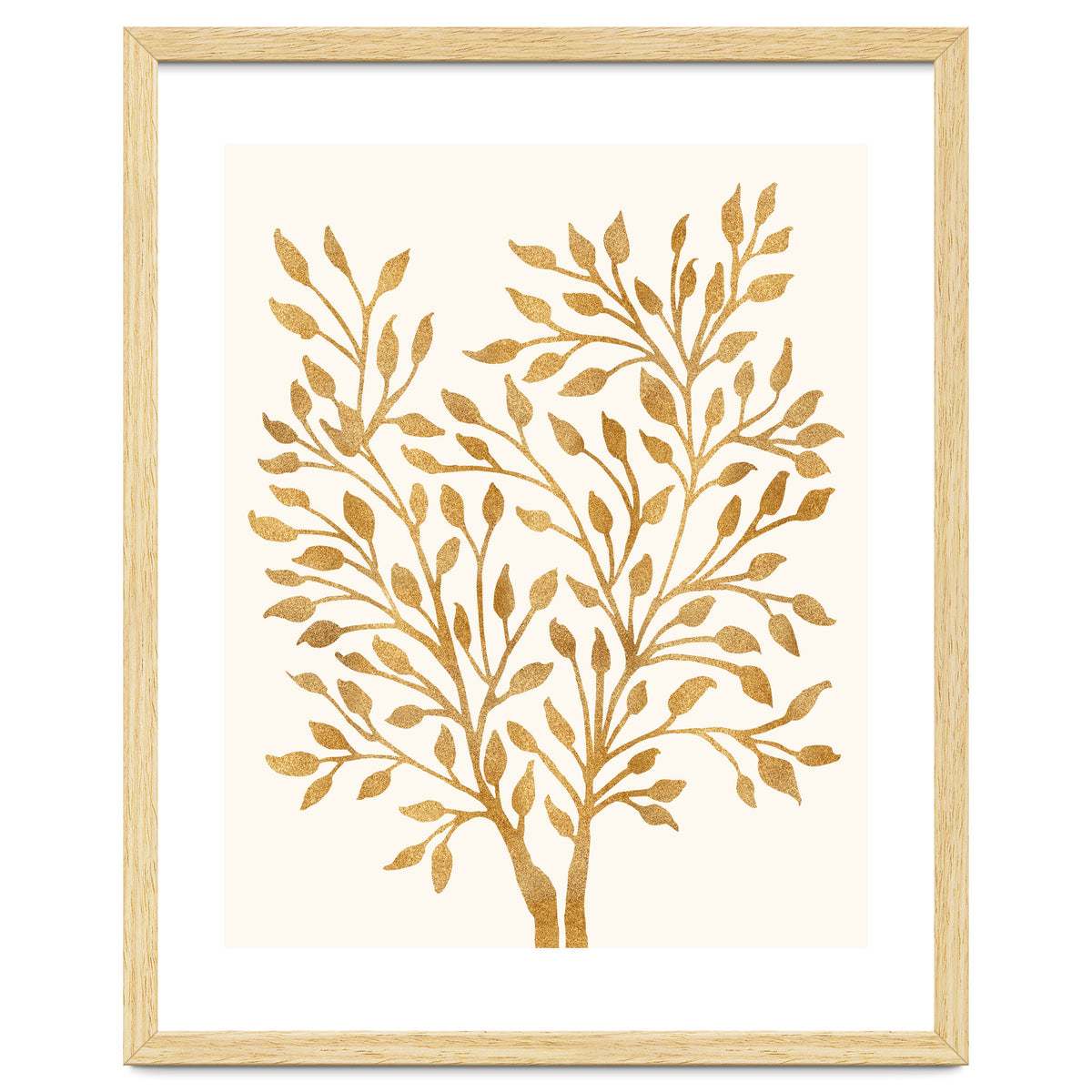Golden Ficus 4x5