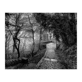 Monochrome path (Print Only) thumbnail