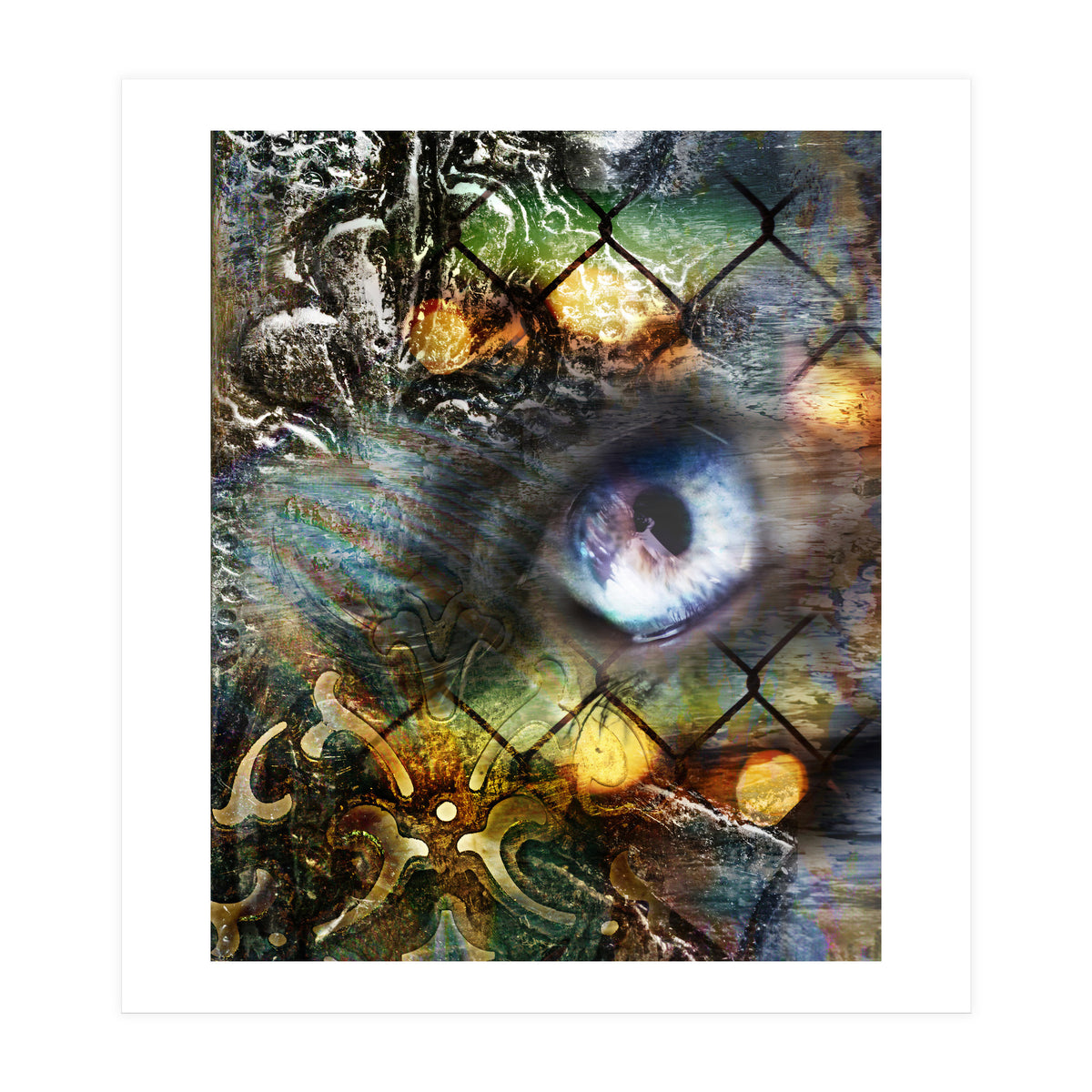 Perceptions (Print Only)