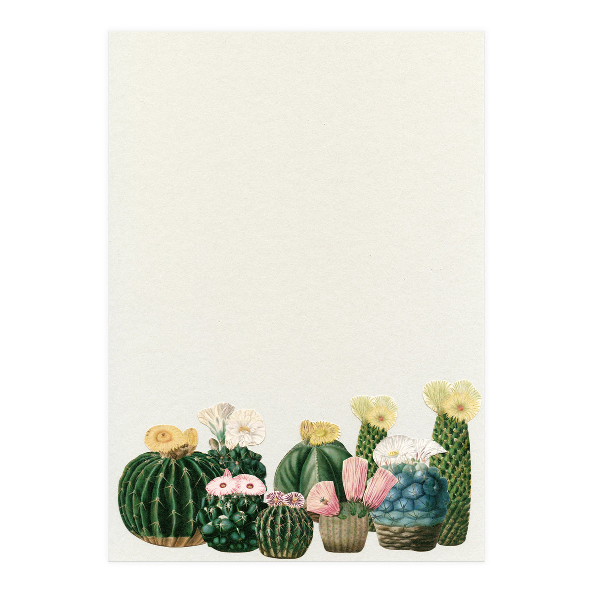 Cactus Garden (Print Only)