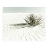 WHITE SANDS Idyllic scenery | Vintage (Print Only) thumbnail