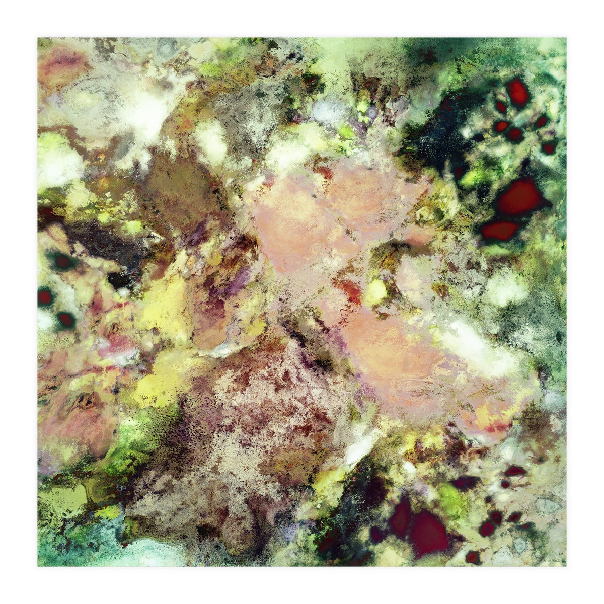 Sugar Coated (Print Only)