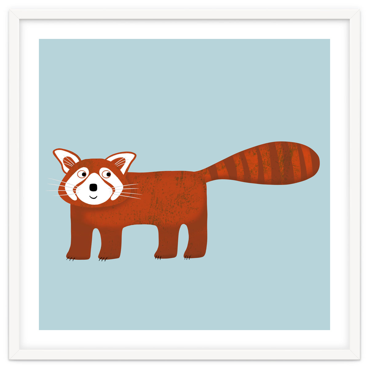Red Panda