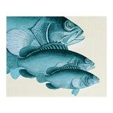 Fish Classic Designs 4 (Print Only) thumbnail