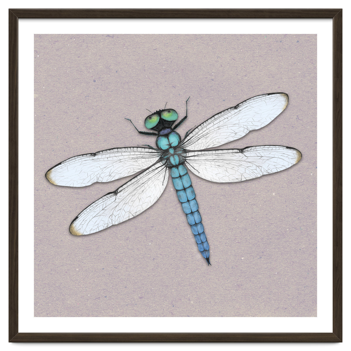 Blue dragonfly