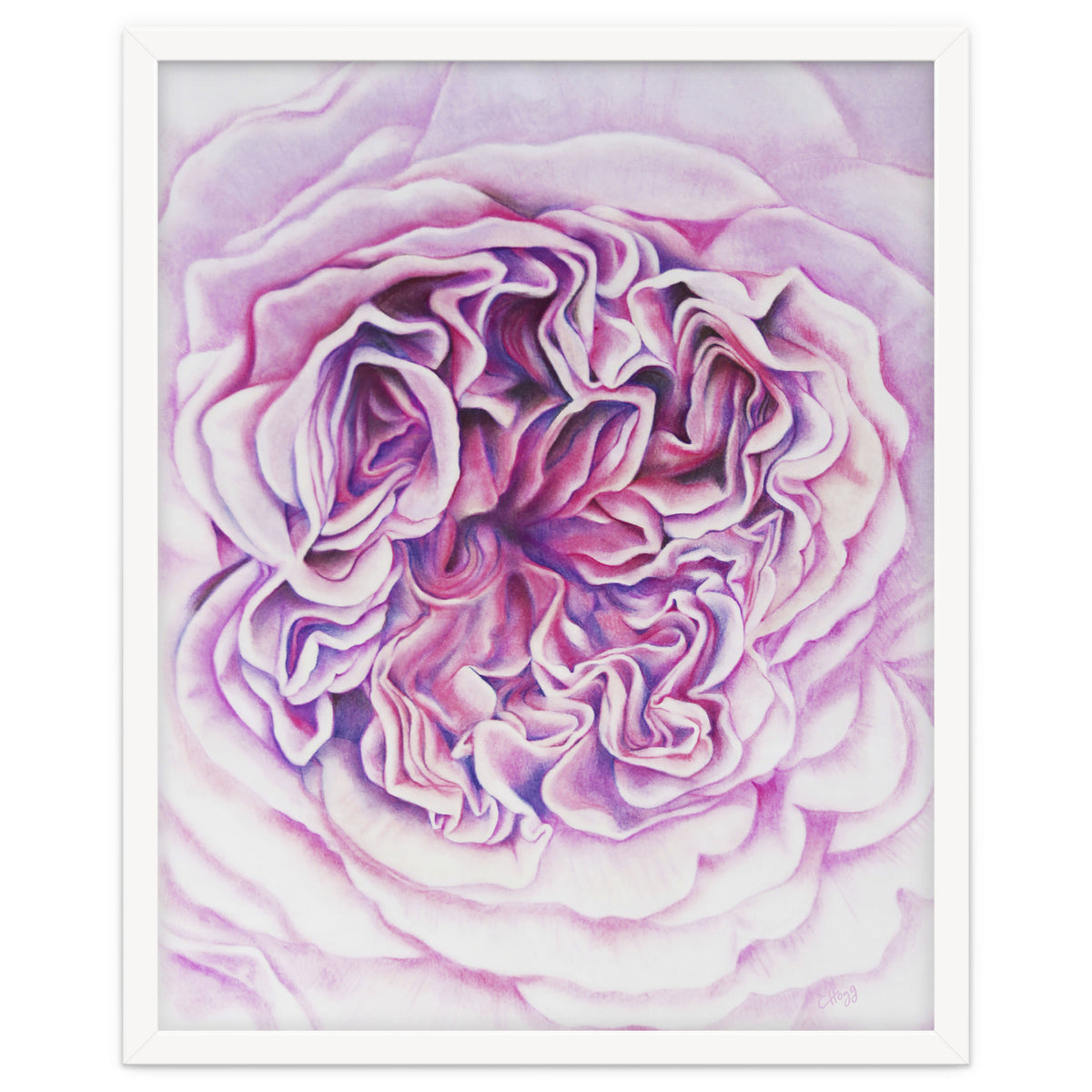 A Rose Is A Rose Std