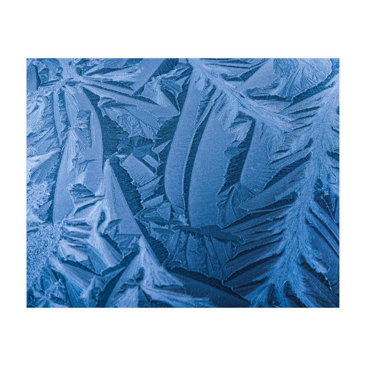 Ice Pattern Number 1 (Print Only)