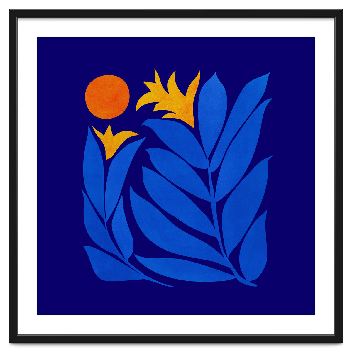 Community Garden At Night