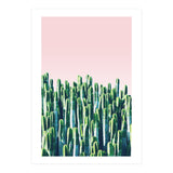 Cactus & Sunset I (Print Only) thumbnail
