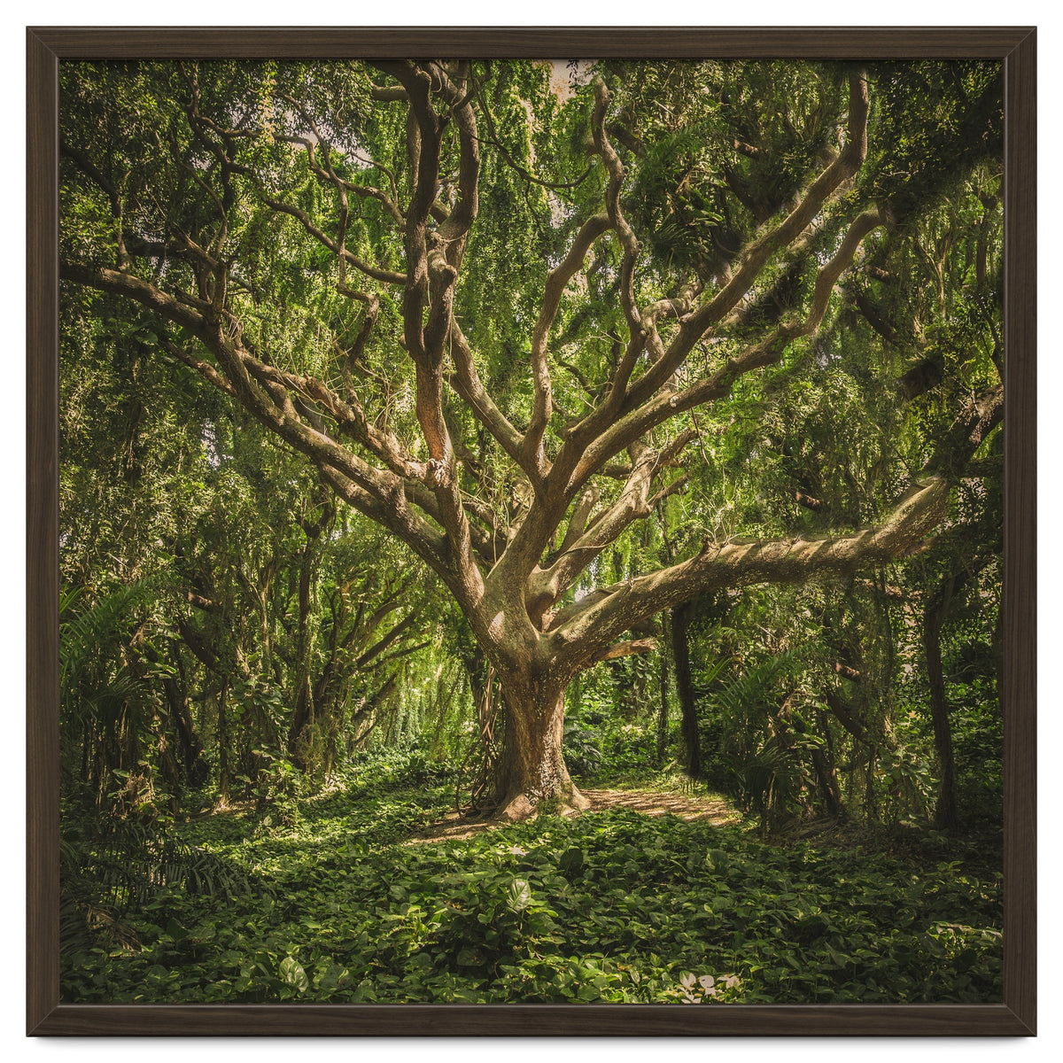 Spirits inside the wood