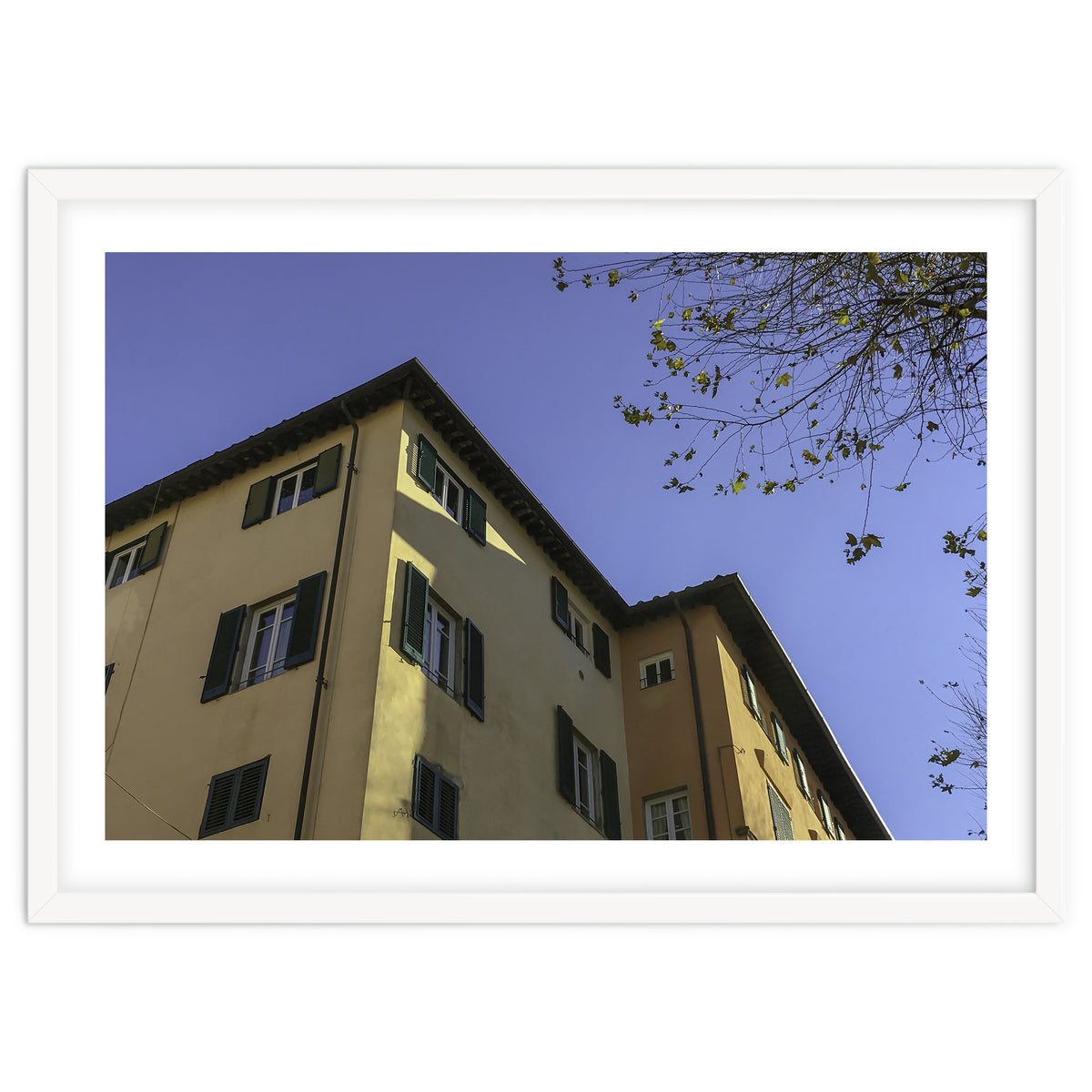 Windows From Tuscany 2