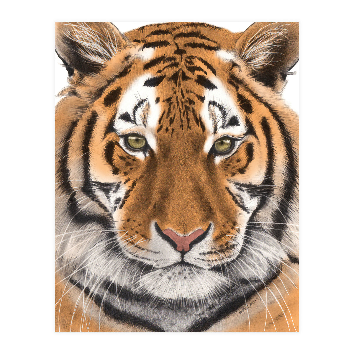 Tiger (Print Only)